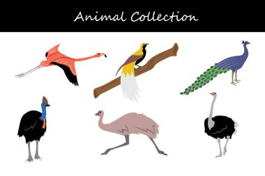 Hayvan koleksiyonu. Düz biçim vektör illüstrasyonu.