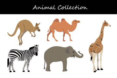 Hayvan koleksiyonu. Düz biçim vektör illüstrasyonu.