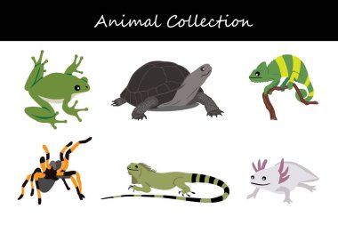 Hayvan koleksiyonu. Düz biçim vektör illüstrasyonu.