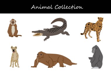 Hayvan koleksiyonu. Düz biçim vektör illüstrasyonu.