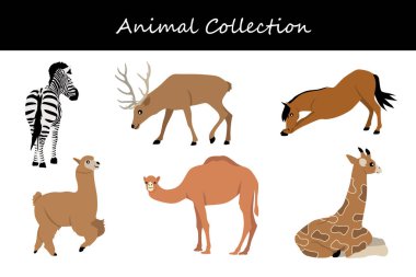 Hayvan koleksiyonu. Düz biçim vektör illüstrasyonu.