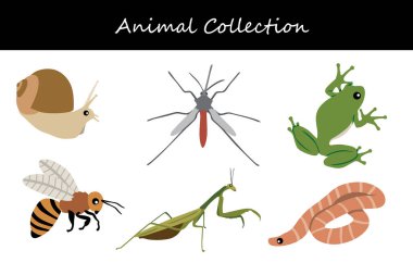 Hayvan koleksiyonu. Düz biçim vektör illüstrasyonu.