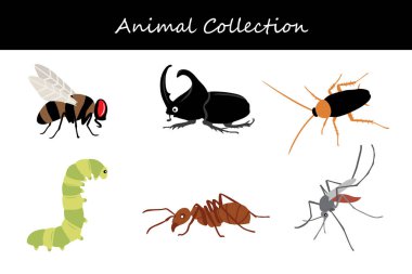 Hayvan koleksiyonu. Düz biçim vektör illüstrasyonu.