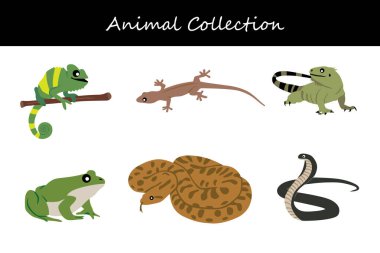 Hayvan koleksiyonu. Düz biçim vektör illüstrasyonu.