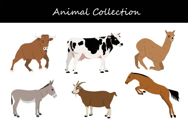 Hayvan koleksiyonu. Düz biçim vektör illüstrasyonu.