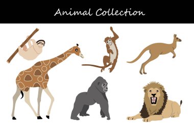Hayvan koleksiyonu. Düz biçim vektör illüstrasyonu.