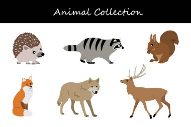 Animals collection. Flat style vector illustration. clipart