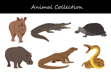 Hayvan koleksiyonu. Düz biçim vektör illüstrasyonu.