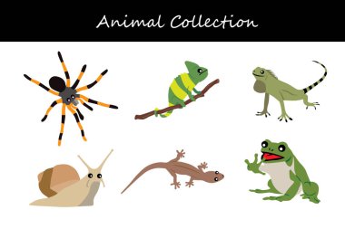 Hayvan koleksiyonu. Düz biçim vektör illüstrasyonu.