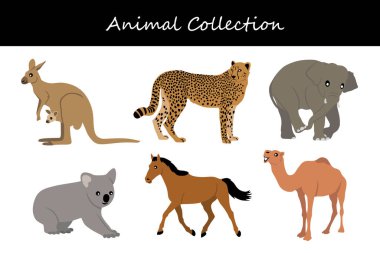 Hayvan koleksiyonu. Düz biçim vektör illüstrasyonu.