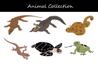 Hayvan koleksiyonu. Düz biçim vektör illüstrasyonu.