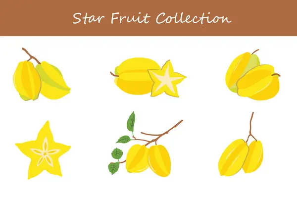 stock vector star fruit collection. star fruit in different poses. Vector illustration.