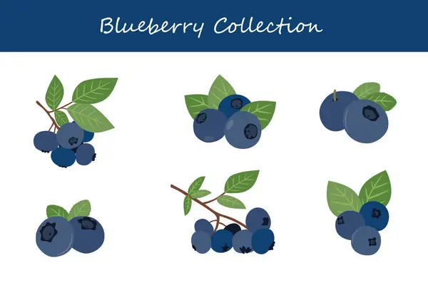 Yabanmersini koleksiyonu. Farklı pozlarda yabanmersini. Vektör illüstrasyonu.