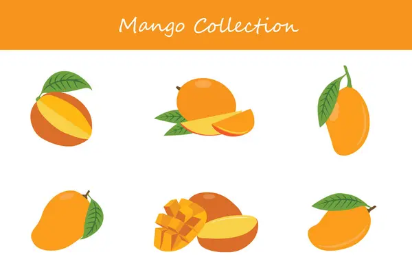 Mango koleksiyonu. Farklı pozlarda mango. Vektör illüstrasyonu.