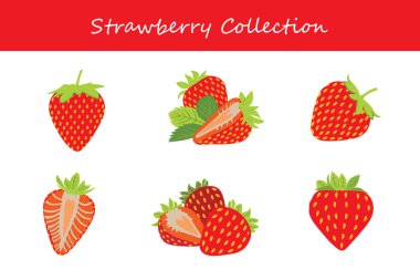 Farklı pozlarda çilek koleksiyonu. Vektör illüstrasyonu.