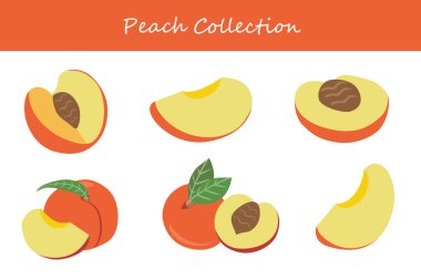 Şeftali koleksiyonu farklı pozlarda. Vektör illüstrasyonu.