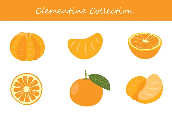 Clementine koleksiyonu farklı pozlarda. Vektör illüstrasyonu.