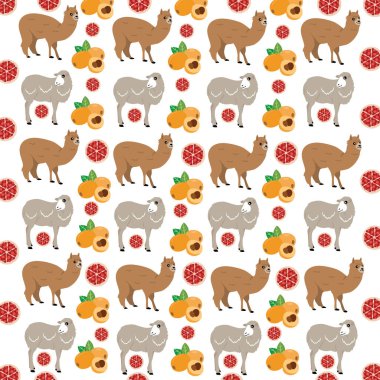 Koyun, alpaka ve arkaplan olarak meyve.