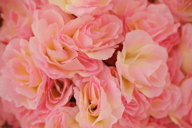 Bir buket pembe gül, yumuşak odaklı arka plan.