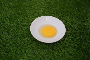 Arka planda beyaz bir kasede yumurta sarısı..