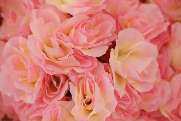 Bir buket pembe gül, yumuşak odaklı arka plan.