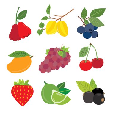 Egzotik Meyveli Tropiklerin Lezzetleri