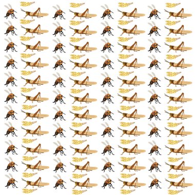 Çekirge, arka plan olarak meyveli arı