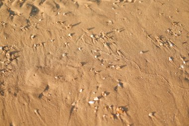 Sandy Surface 'in yakın çekim dokusu