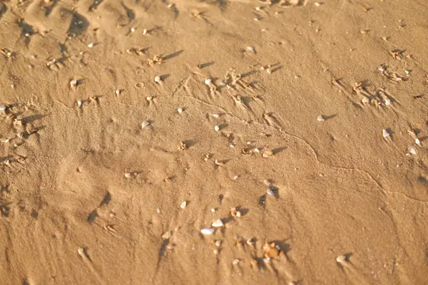 Sandy Surface 'in yakın çekim dokusu