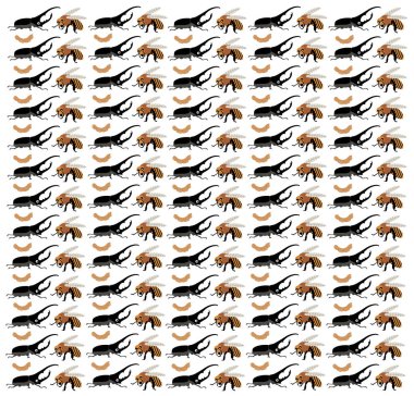 Arı, arının arka planı meyveli böcek.