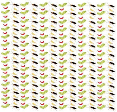 Tırtıl, arka planda buğday olan hamamböceği.