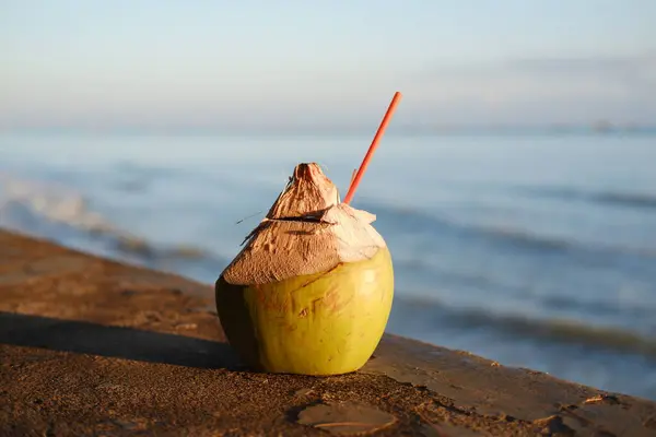 Deniz kenarındaki Hindistan cevizi ferahlatıcı