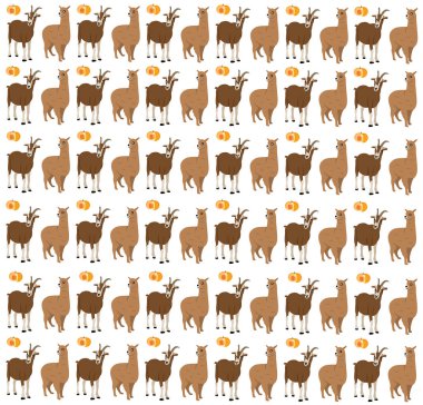 alpaca, arka planda meyveli keçi