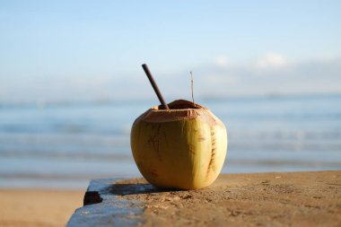 Sahile yakın bir çıkıntıya yerleştirilmiş taze bir hindistan cevizi.
