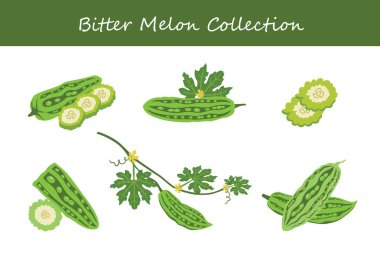 Farklı tarzda kavun koleksiyonu. Vektör illüstrasyonu.