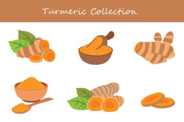 Zerdeçal koleksiyonu farklı şekillerde. Vektör illüstrasyonu.