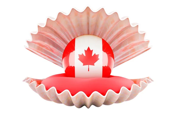 캐나다 껍데기 캐나다 국기가 배경에 렌더링 — 스톡 사진