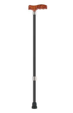 Yürüyen Çubuk, beyaz arkaplanda 3 boyutlu görüntüleme