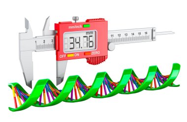 Vernier Caliper ile DNA sarmalı. Beyaz arkaplanda 3B görüntüleme izole edildi