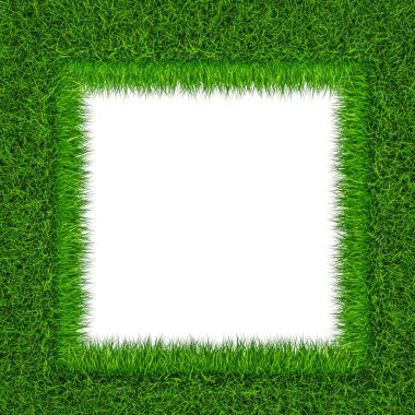 Yeşil çimenden çimen çerçevesi, beyaz arkaplanda 3 boyutlu görüntüleme