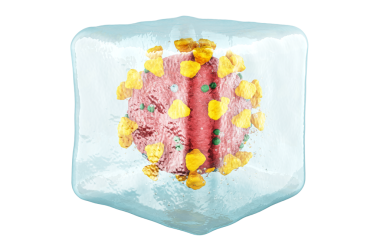 Buz küpünde donmuş virüs, şeffaf arkaplanda 3 boyutlu görüntüleme