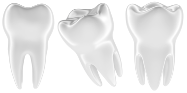 İnsan dişi, azı dişi. Farklı bakış açıları ve açıları. Şeffaf arkaplanda 3B görüntüleme izole edildi