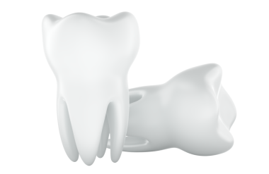 İnsan dişleri, azı dişi. Şeffaf arkaplanda 3B görüntüleme izole edildi