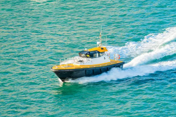 Liman pilotu teknesi deniz suyunda hızla ilerliyor.