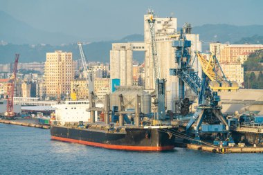 Vinçleri ve şehir silüeti olan sanayi limanında büyük bir taşıyıcı, Savona