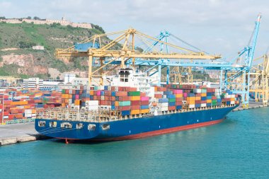 Konteyner gemisi vinçler ve tepe manzaralı yoğun limana yanaştı