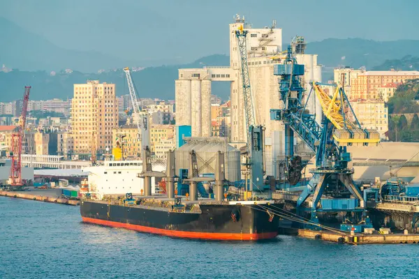 Vinçleri ve şehir silüeti olan sanayi limanında büyük bir taşıyıcı, Savona