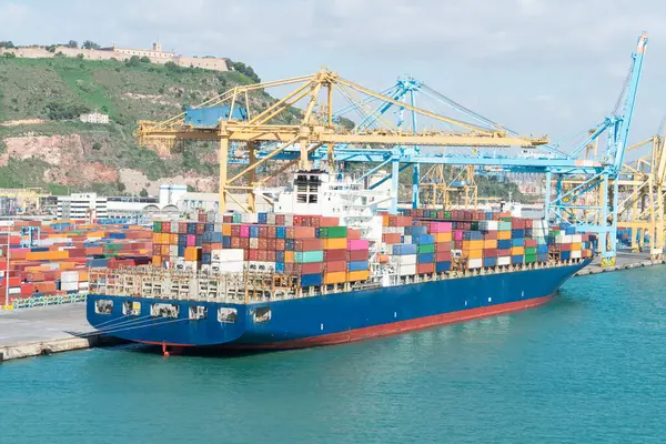 Konteyner gemisi vinçler ve tepe manzaralı yoğun limana yanaştı