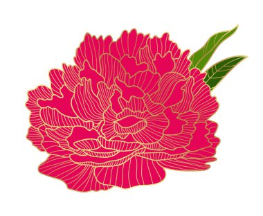 A lush peony bud with a golden outline. Beautiful blooming red peony flower. Elements for the design of postcards, invitations, etc. Vector illustration on a white background.