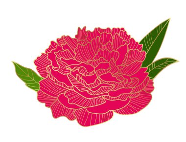 Amazing blooming red peony flower. A beautiful lush peony bud with a golden outline. Elements for the design of postcards, invitations, etc. Vector illustration on a white background.